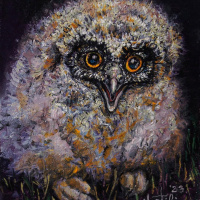 Jer smo tako u mogućnosti