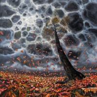 Zvao me Konor iz Korka