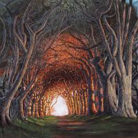 Da ne skačem pred rudu