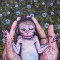 Zoran Modli program vodli