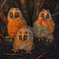 Šta ste hteli, to ste i dobili