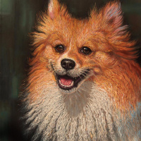 117: Ko ti je ovo radio?