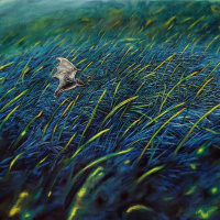 Odakle da mu priđem