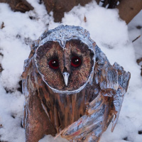 Nemoj GitHub da utepaš