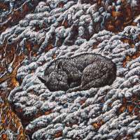 I ti ćeš kume, samo sutra