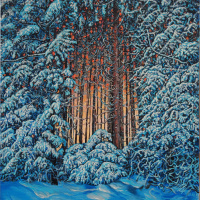 Našao sam liposukciju