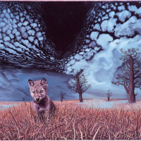 Znaš li ti, bre, ko sam ja?