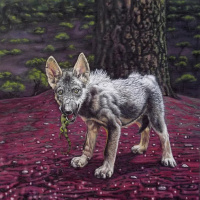 Daleko smo mi od Evrope