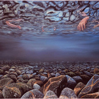 Nemoj da umre, a da ne završi