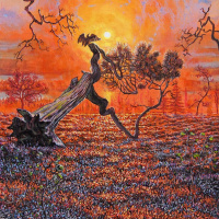 Puška je zakočena!