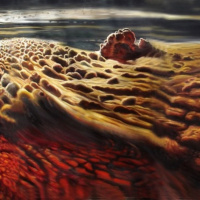 Eυχαριστώ πολύ