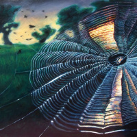 Sad neću ni ono što ja hoću