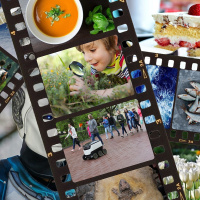 Huvitaja. Kuidas mobiilioperaatorid petturitega võitlevad?