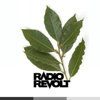 Fakta på laurbær 20-11-2012 [42]