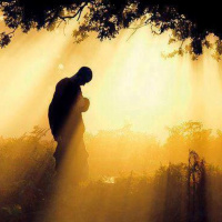 Bønnens sprengkraft!