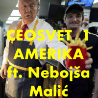 CEOSVET: AMERIKA Nebojša Malić o novinarstvu i izborima
