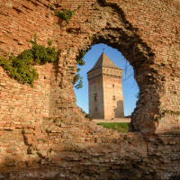 #240 Svetlana Dingarac iliti kako zaštititi naše tvrđave od zaborava