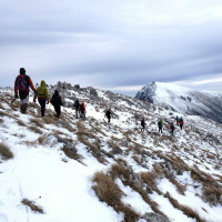 Pokretači 1.18 Via Serbia