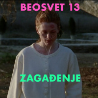 BEOSVET 13 Zagađenje