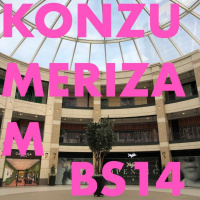 Beosvet 14 Konzumerizam