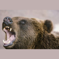  ES un ASV ekonomiskās sankcijas pret Krieviju un to ietekme