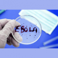 Gada aktualitātes - kaimiņattiecības, ebolas vīruss un politiskie procesi Eiropā