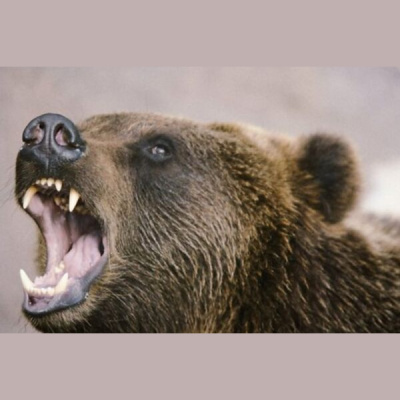 Septias Dienas Eirop