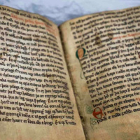 Forskningspodden #52: Sex med demoner, 200 vaksiner og griser som bygger rede