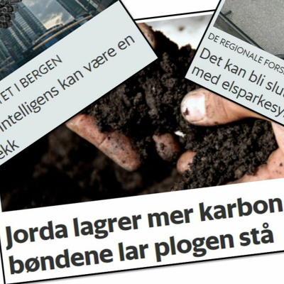 Spør En Forsker