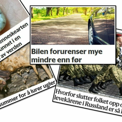Spør En Forsker