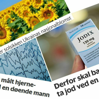 Spør En Forsker