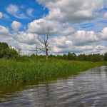 Kalamehejutud | Vikerraadio | Err