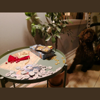 Ep. 26: Små  kjappe brettspill