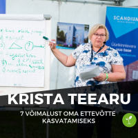 7 Võimalust Oma Ettevõtte Kasvatamiseks - Krista Teearu