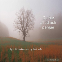 Du har alltid nok penger