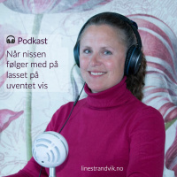 Når nissen følger med på lasset på uventet vis