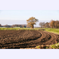 Alfreds Dziļums. Zeme dzīvo. 1. daļa