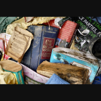 Sirds mozaīka. Tuvība