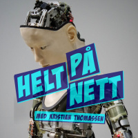 Tips for din chatbot