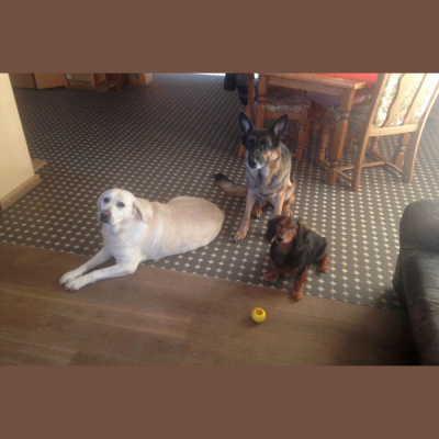 Cilvks Ziu Virsrakstos