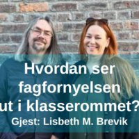 Hvordan ser fagfornyelsen ut i klasserommet? Med Lisbeth M. Brevik