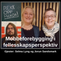  Mobbeforebygging i fellesskapsperspektiv