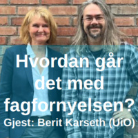Hvordan går det med fagfornyelsen? Med Berit Karseth (UiO)