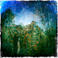 Grunnlukt og kroppshukommelse