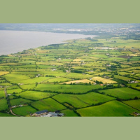 Vēlēšanu rezultāti Īrijas Republikā, grupas „Tīkls” lieta Krievijā un Vācijas nedienas