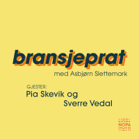 Hvordan bli spilt på radio?