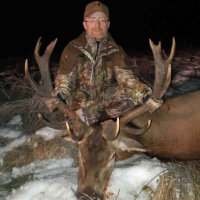 Hjort, elg, utlandet og gaupe i underbuksa med Trond S. Nergaard 