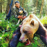 Bjørner og jakthunder med Robin Strömqvist