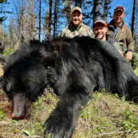 Spørsmål og dilemmaer fra verdes beste lyttere!