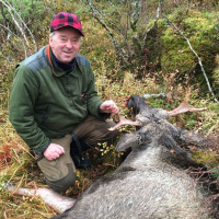 Elg, viltgjerder, ettersøk, rådyr og rovvilt med Steinar Røssvoll